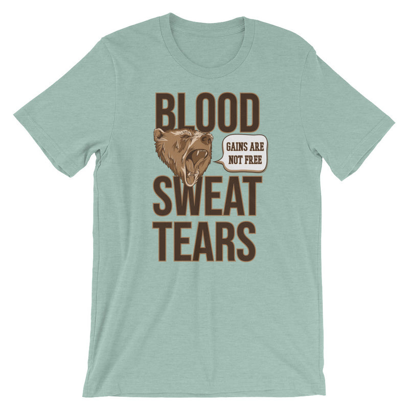 Blood Sweat & Tears T-Shirt - Making Moves Daily 